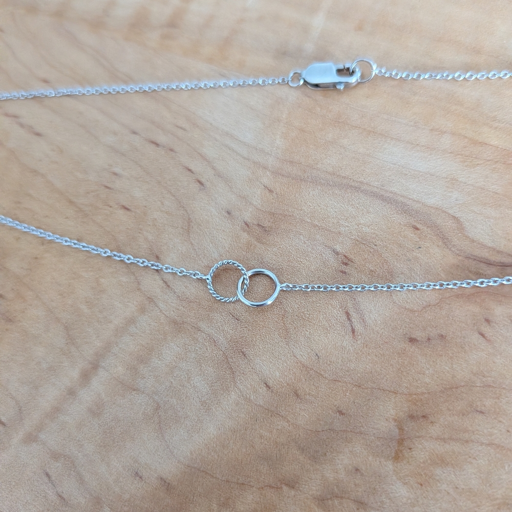 Ana Luisa Interlocking Circle Necklace